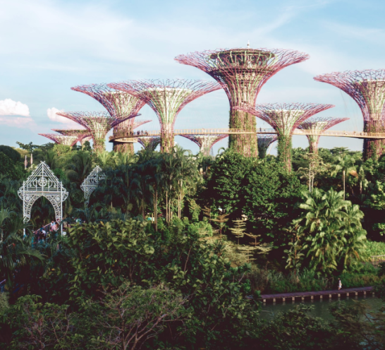 CitiesWithNature
