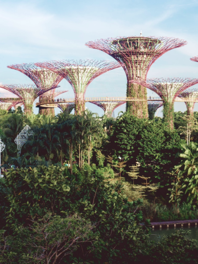 CitiesWithNature