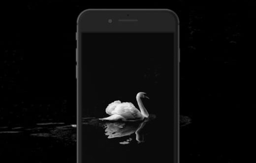 2020 – The year the white swan arrived