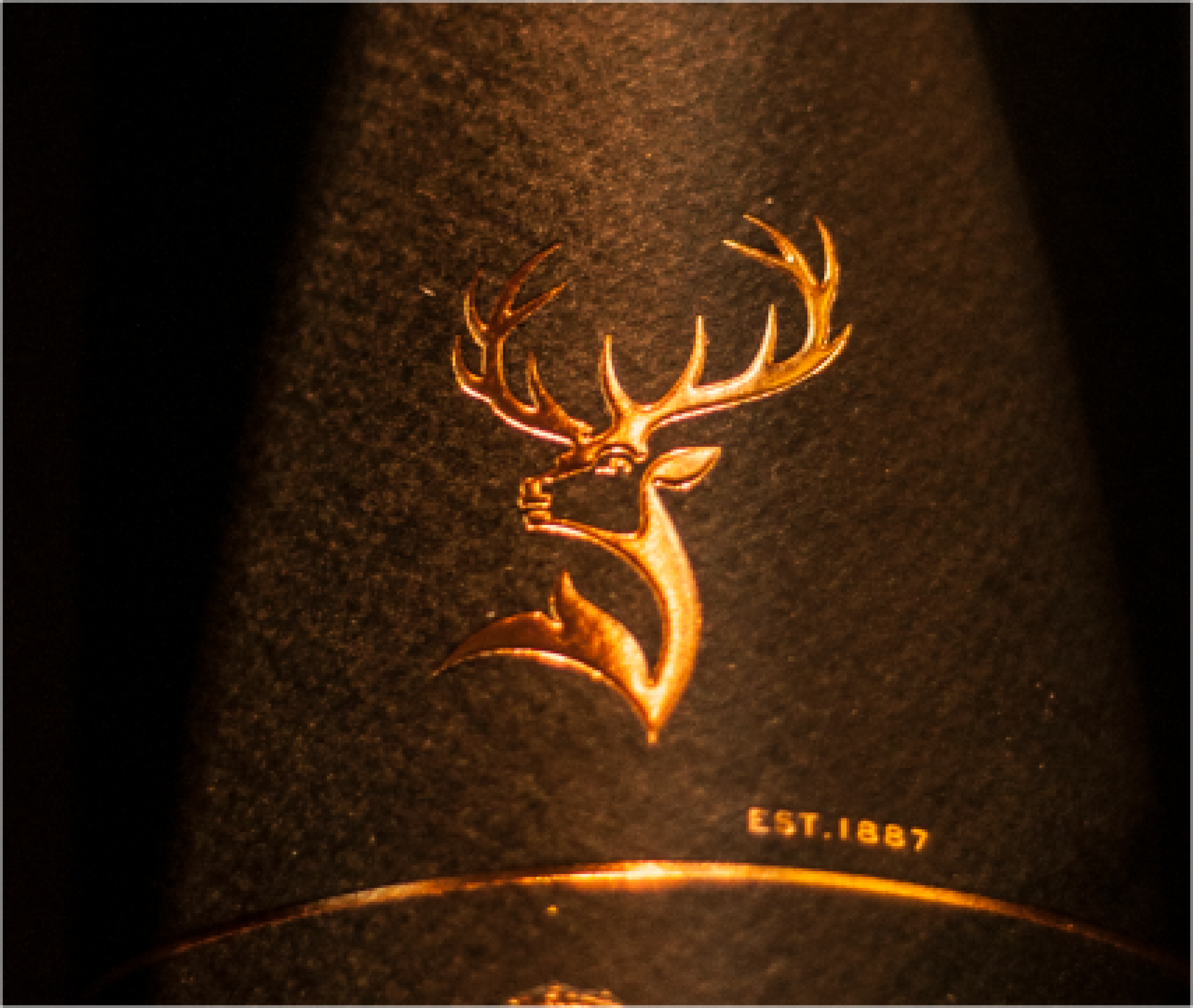Glenfiddich